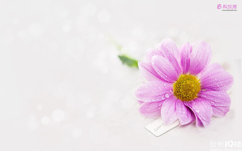 人生励志格言座右铭-养眼搞笑-摄影部落-台州1