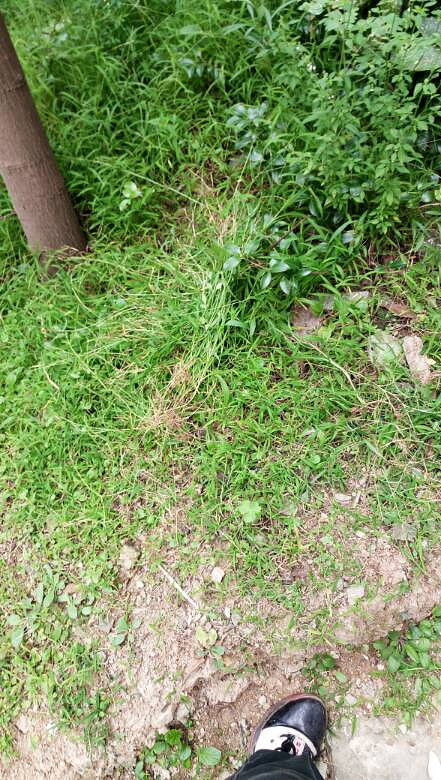 温岭市松门镇欧凯苑小区质量如此垃圾-讲白搭