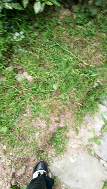 温岭市松门镇欧凯苑小区质量如此垃圾-讲白搭