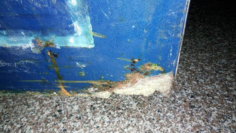 温岭市松门镇欧凯苑小区质量如此垃圾-讲白搭