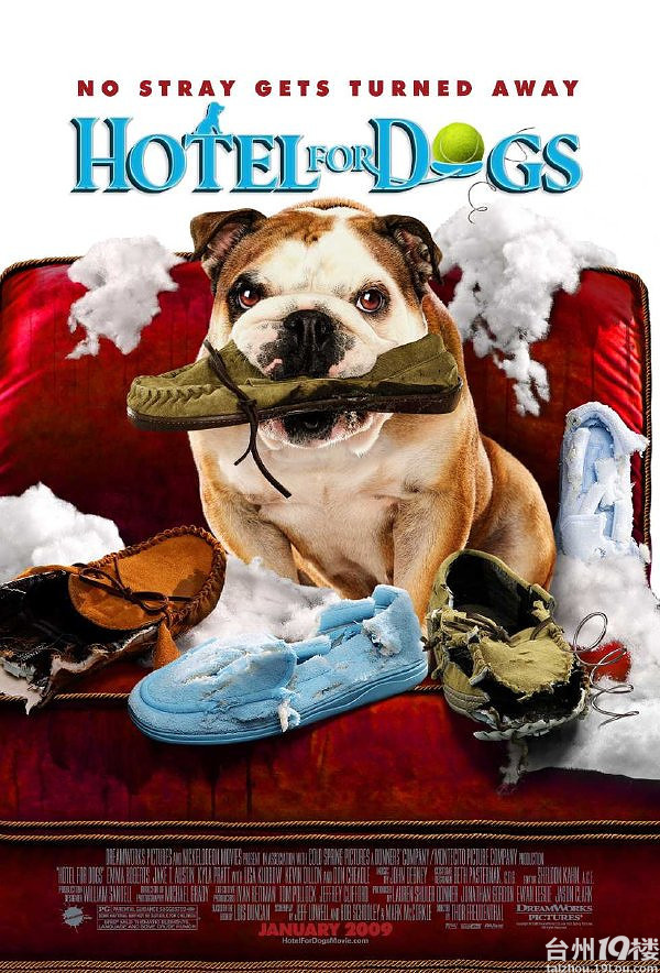 推荐一部史上最好看的狗狗电影,没有之一!《流