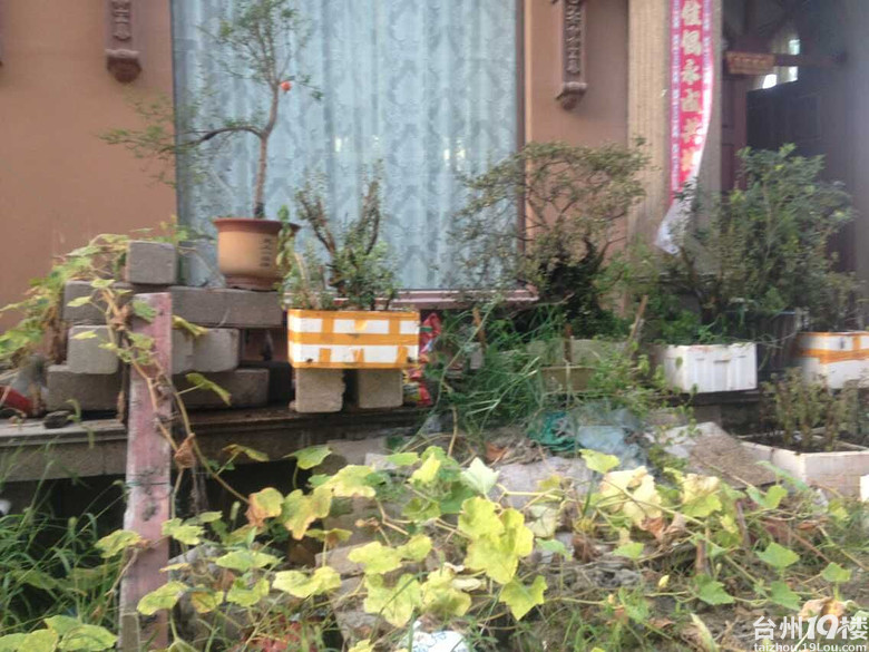 自给自足的乡下田园生活 很羡慕啦 房子有细节-房产楼市-台州19楼