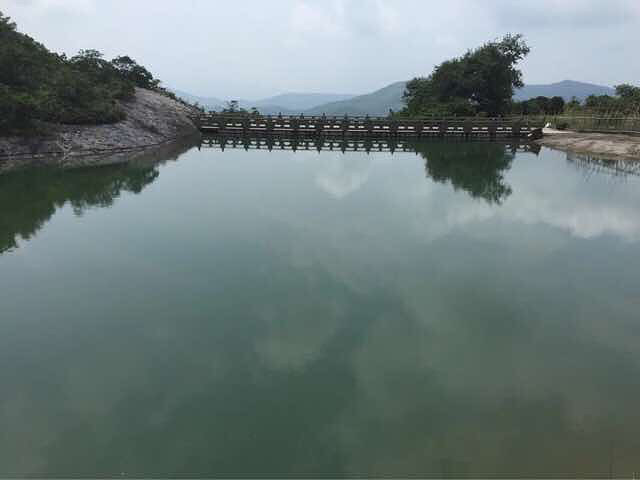 求大神回复、想了解一下社保要怎么购买,一-讲