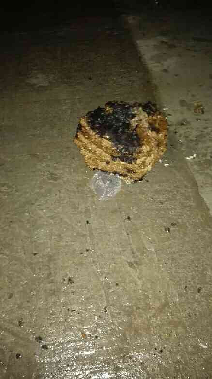 椒江惊现灭门惨案,全族老少无一幸免,尸横-讲白