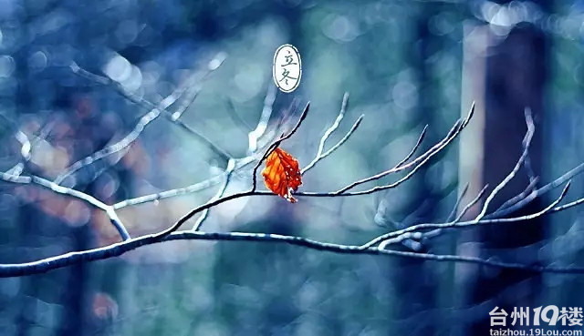 立冬到了,为了自己,你应该掌握这些信息-美食杂