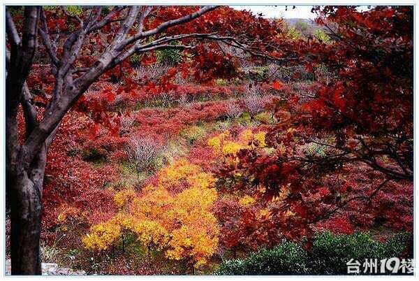 11.19徒步栖霞坑古道 感受山村秋色(非周末活