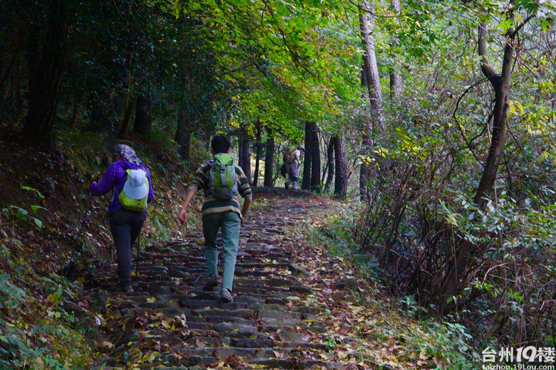 【天台.地接】苍苔迷古道，红叶乱朝霞--霞客古道