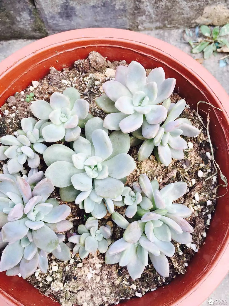 �ҵ�������