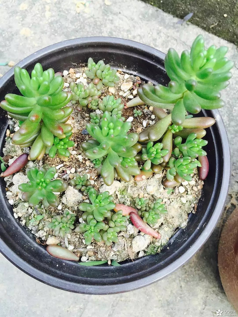 �ҵ�������