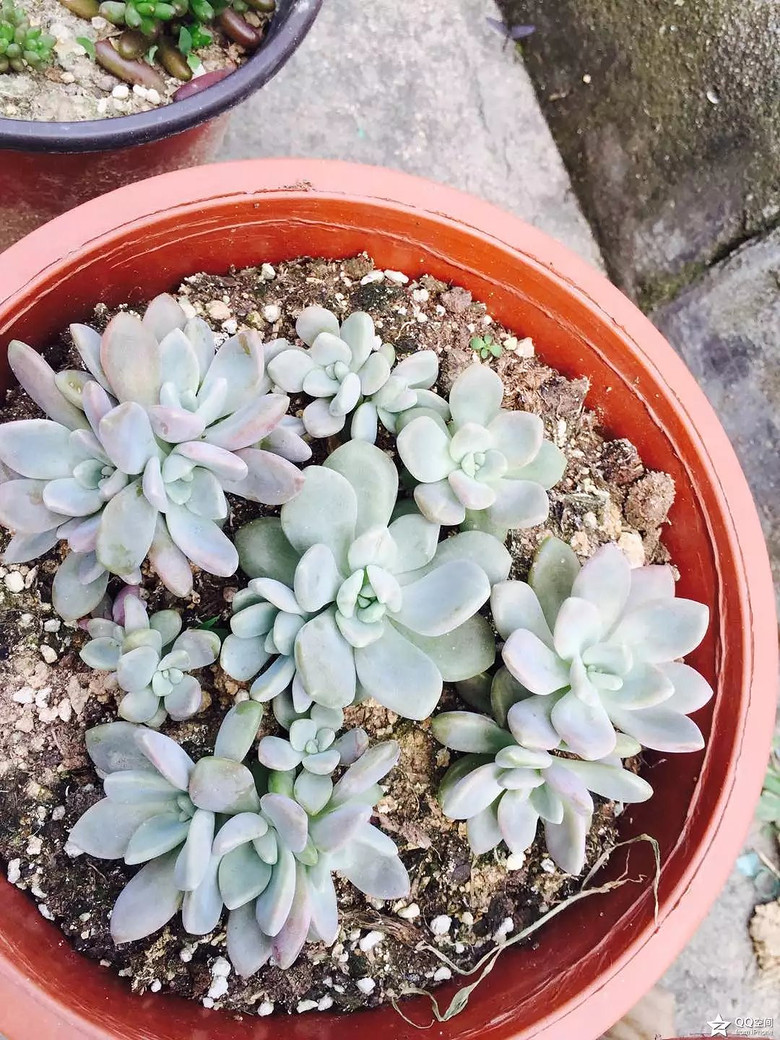 �ҵ�������