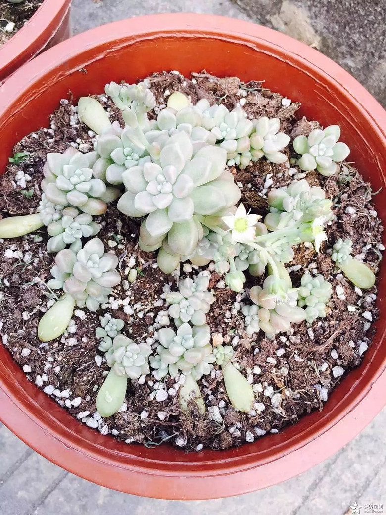 �ҵ�������