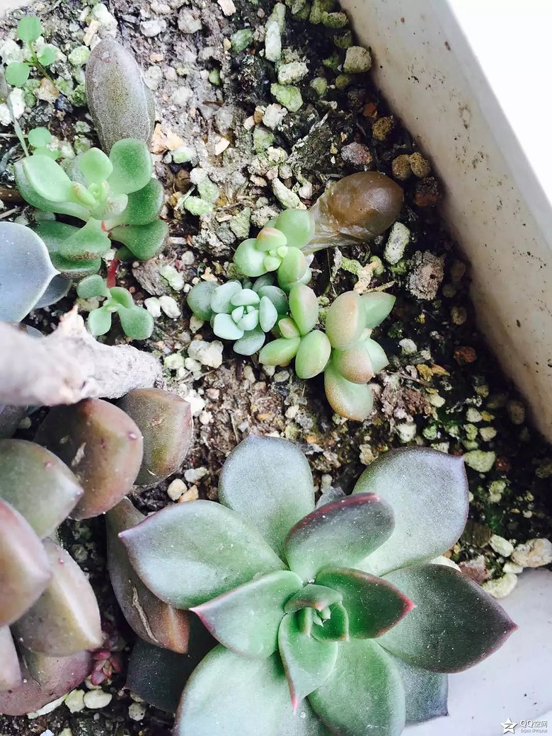 �ҵ�������