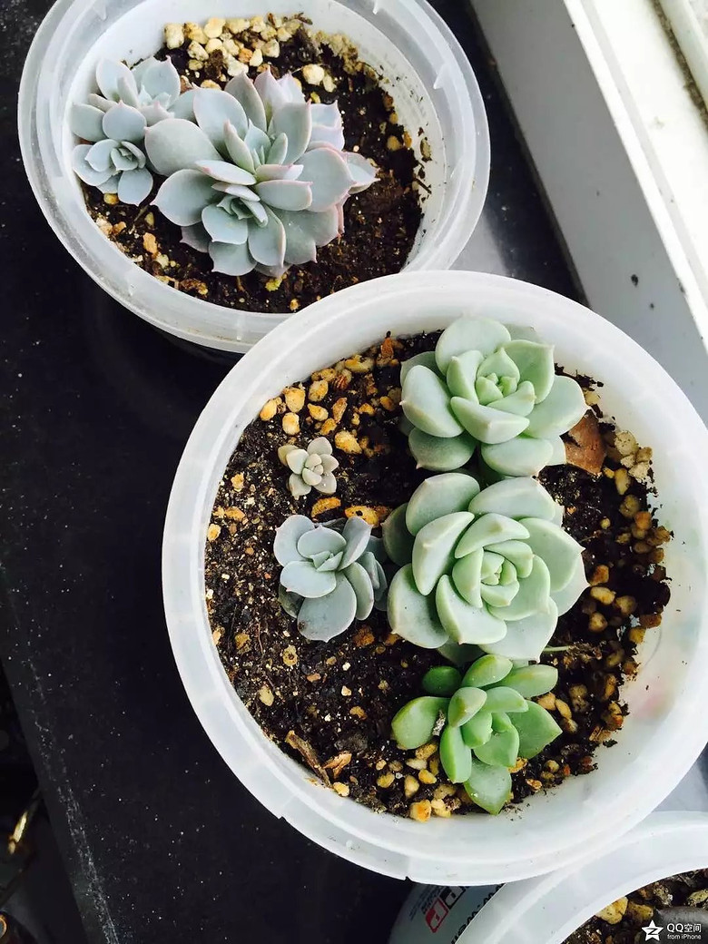 �ҵ�������