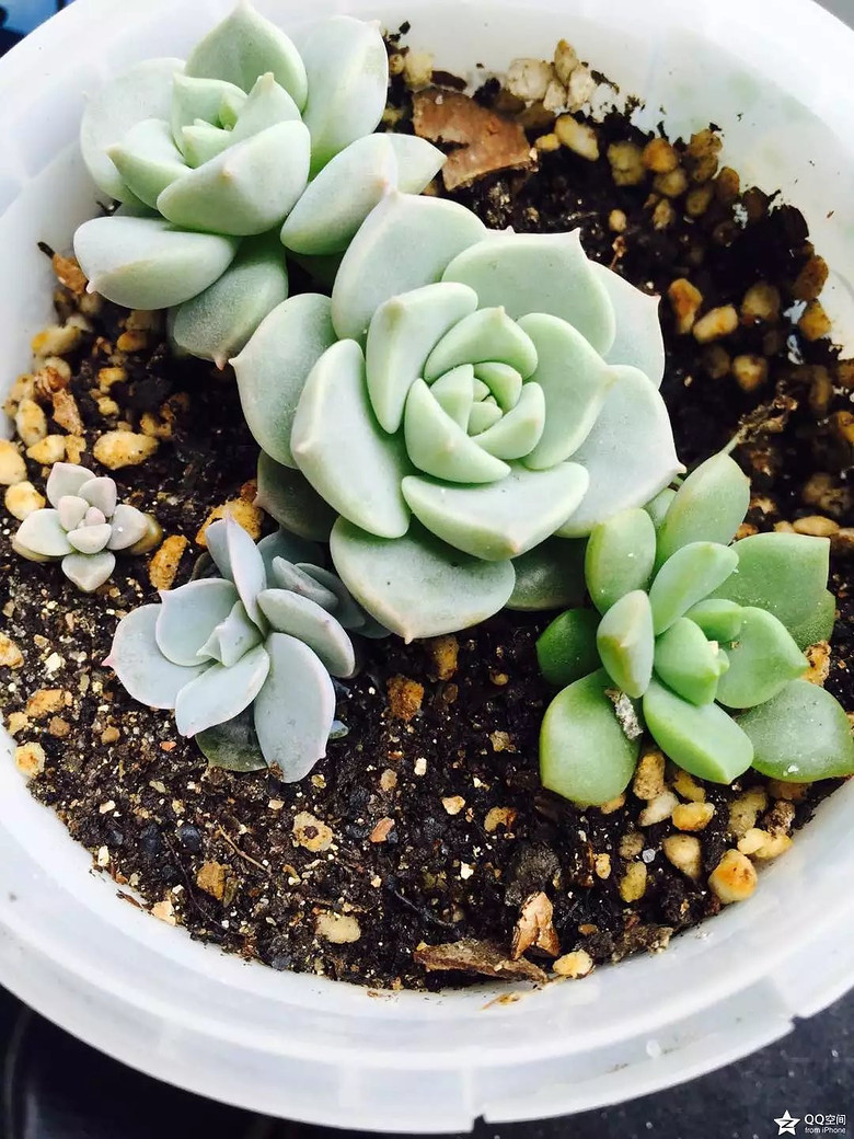 �ҵ�������