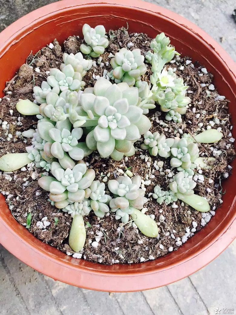 �ҵ�������