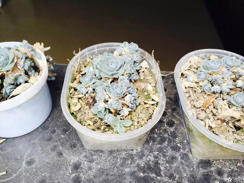 �ҵ�������