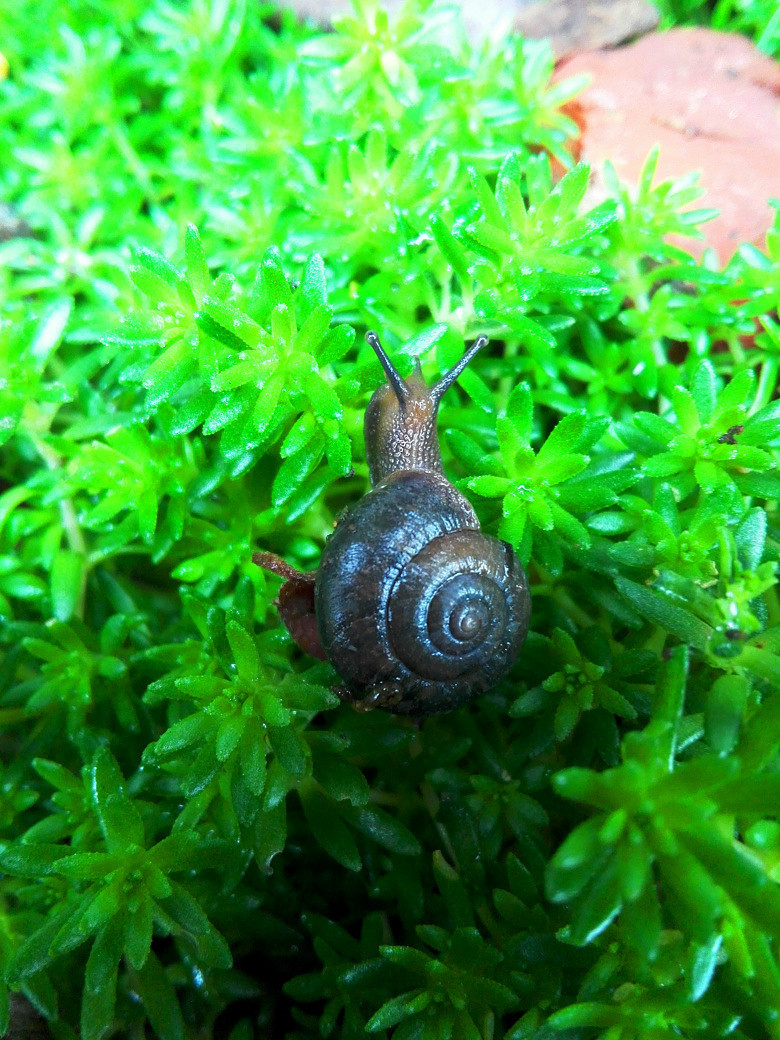 ���Ļ��������붷��