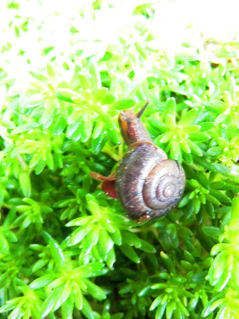 ���Ļ��������붷��