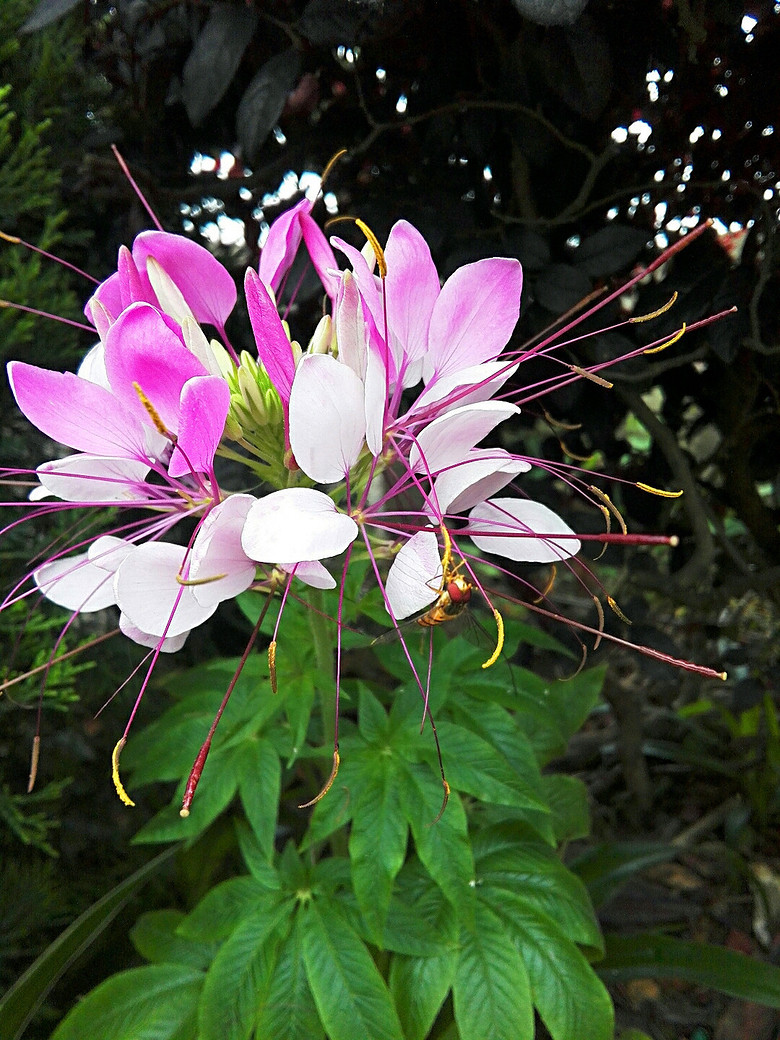 ��һ��������