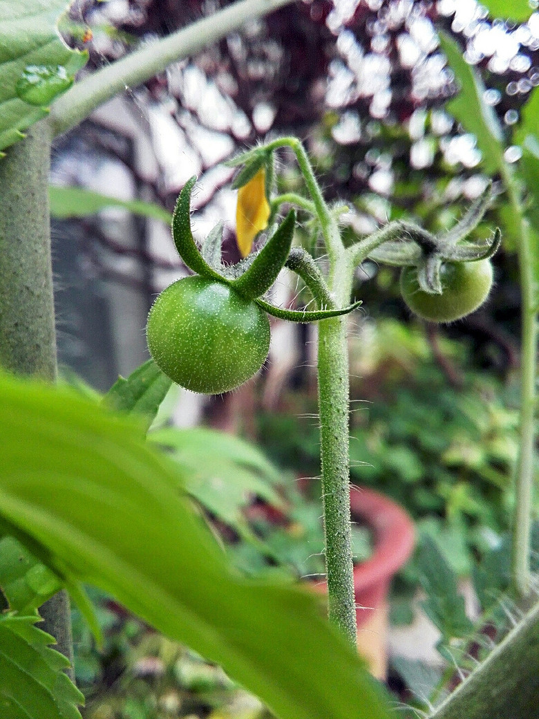 ��һ��������