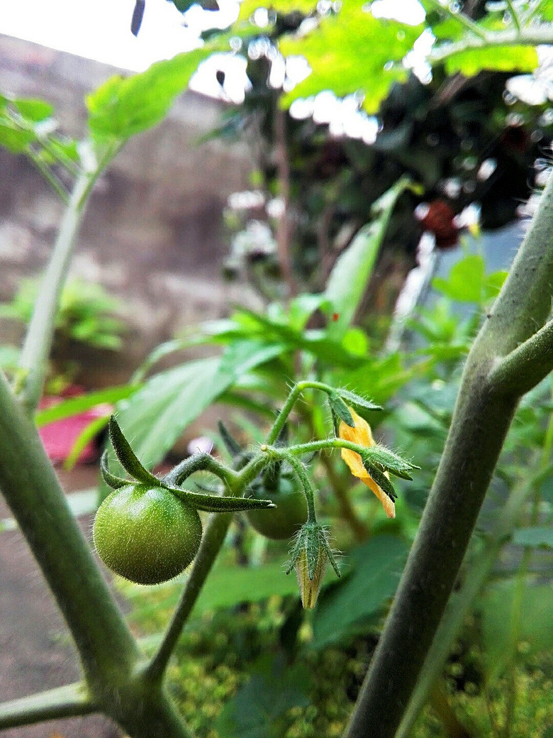 ��һ��������