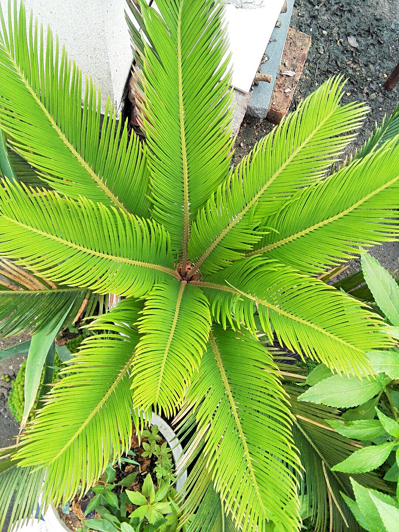 ��һ��������