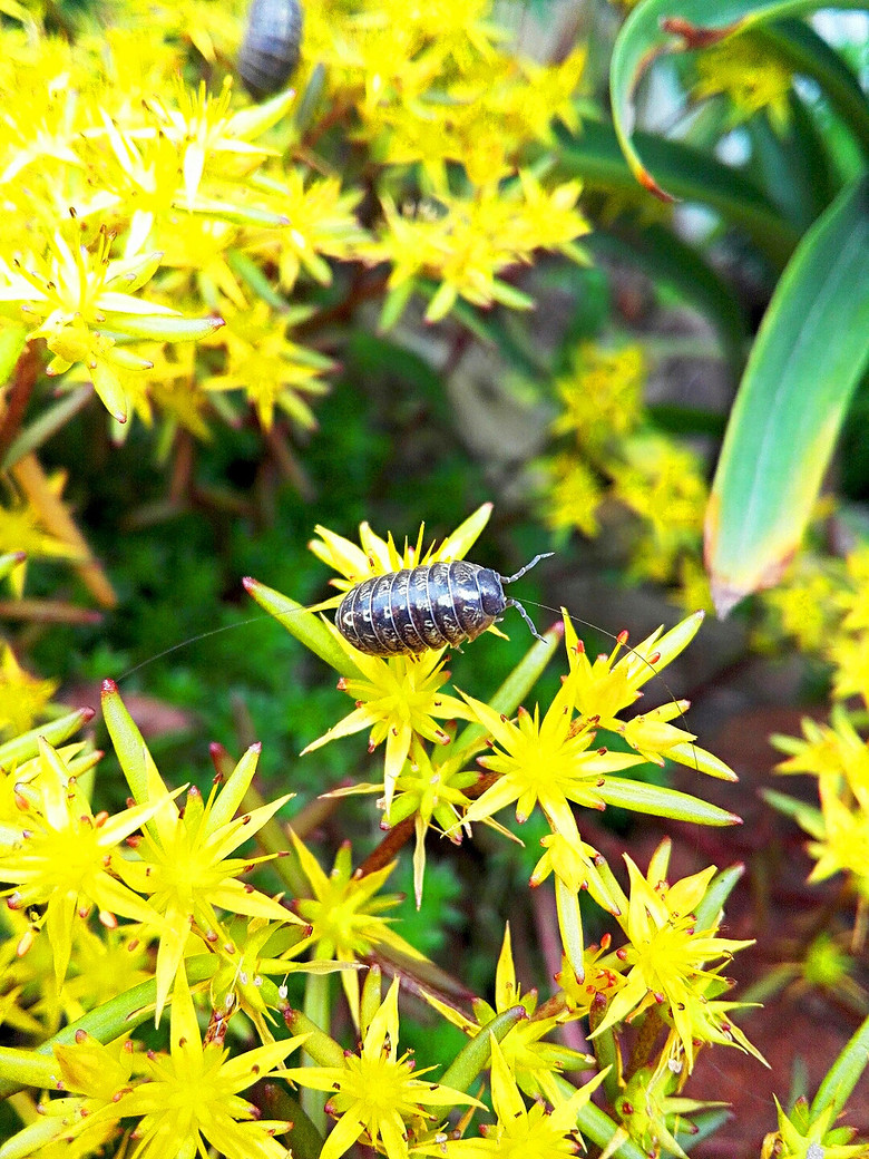 ��һ��������