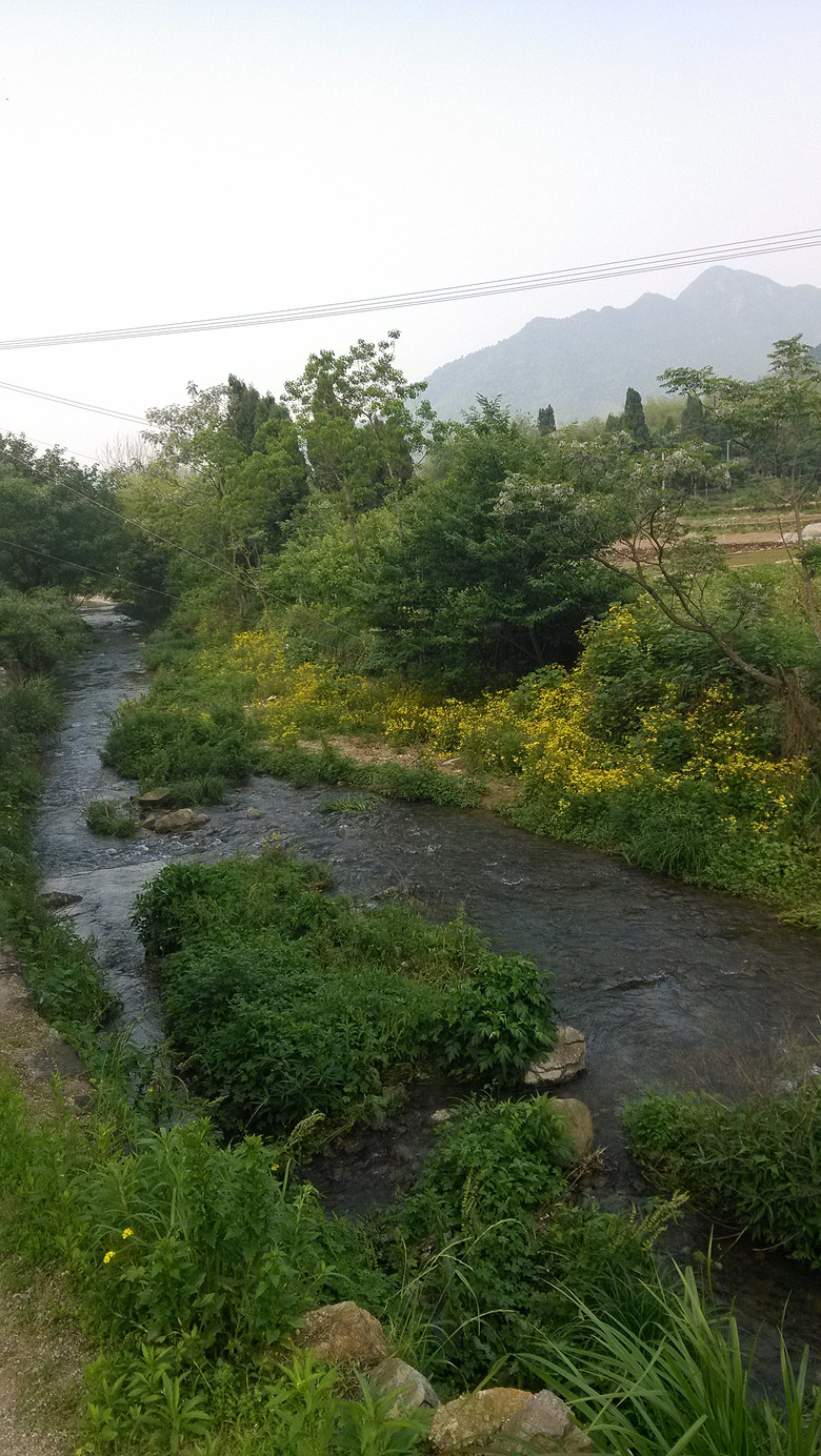 СϪ�ߵ����ӳ�����