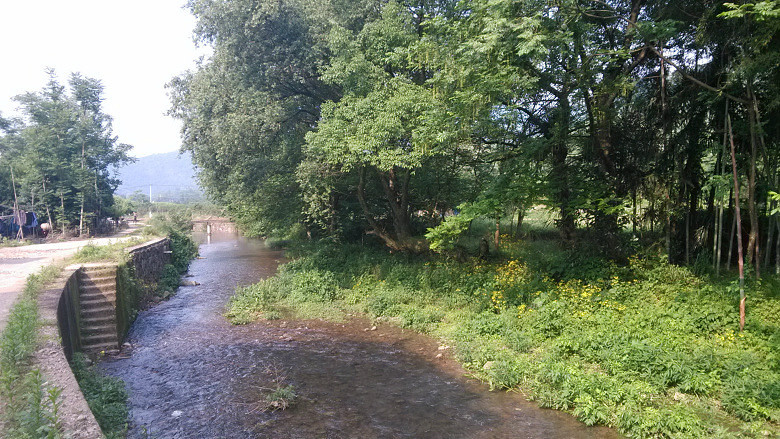 СϪ�ߵ����ӳ�����