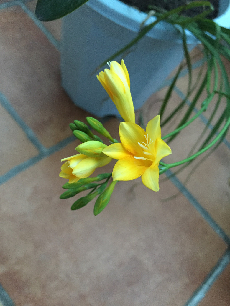 ���Ǹ�ҵ�������