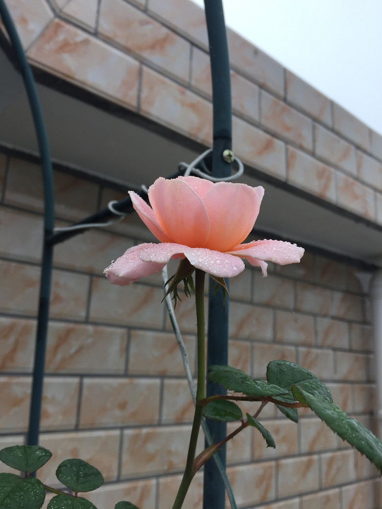 ���Ǹ�ҵ�������