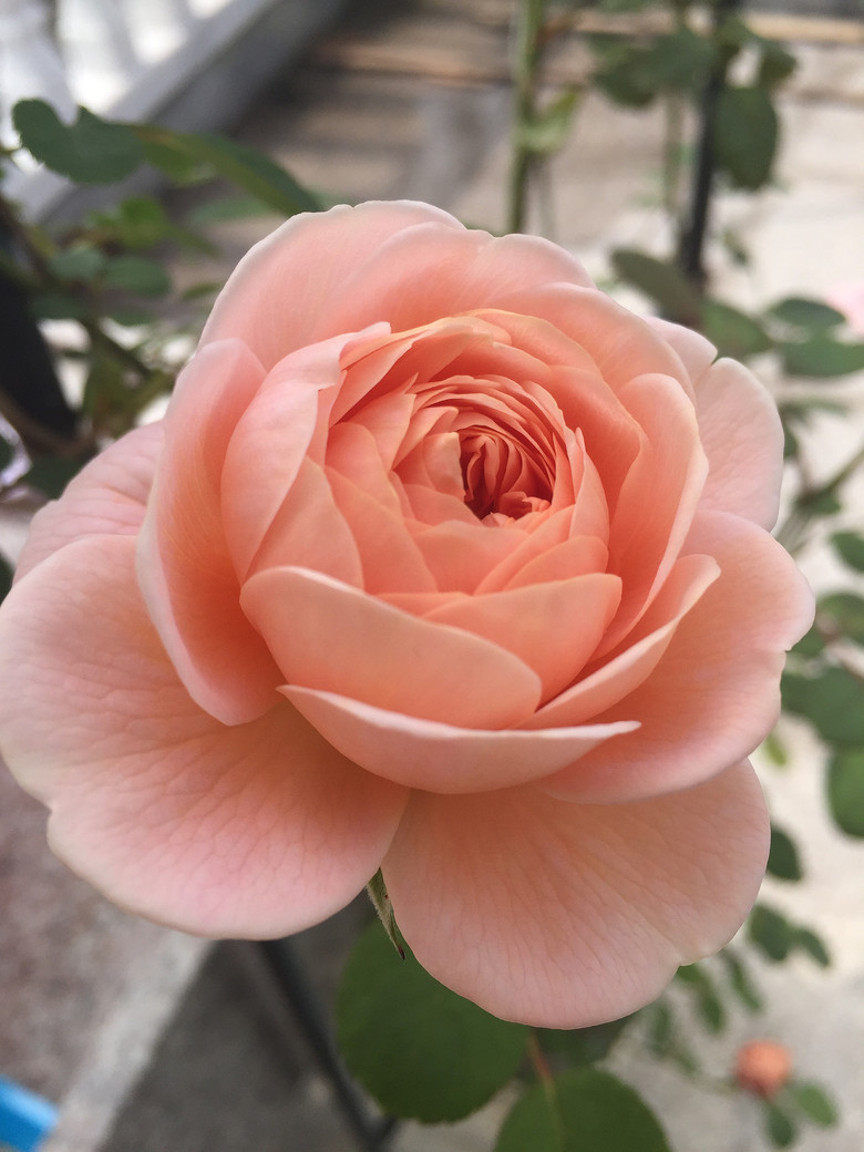 ���Ǹ�ҵ�������