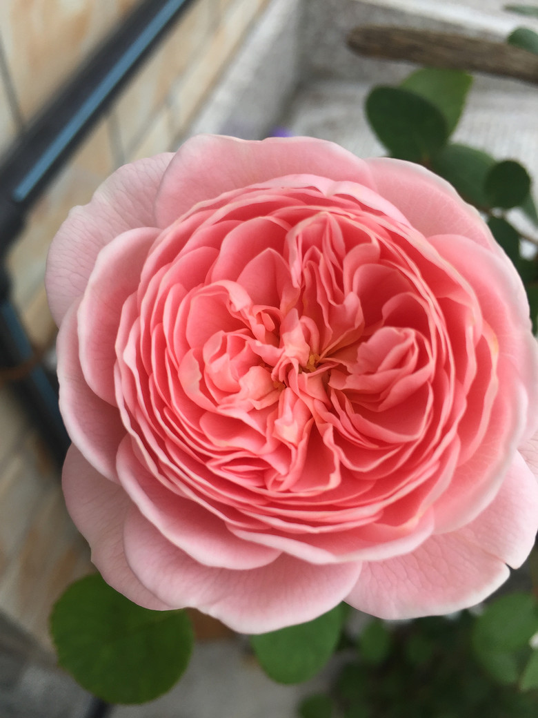 ���Ǹ�ҵ�������