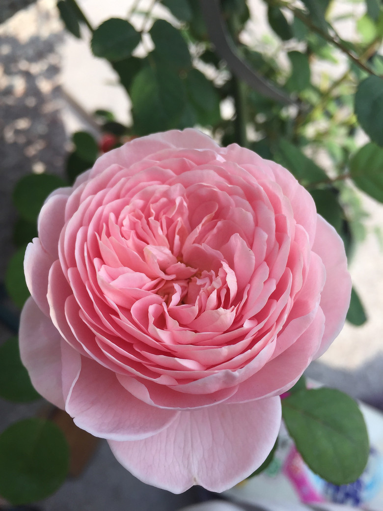 ���Ǹ�ҵ�������