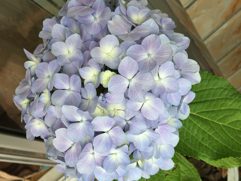 ���Ǹ�ҵ�������