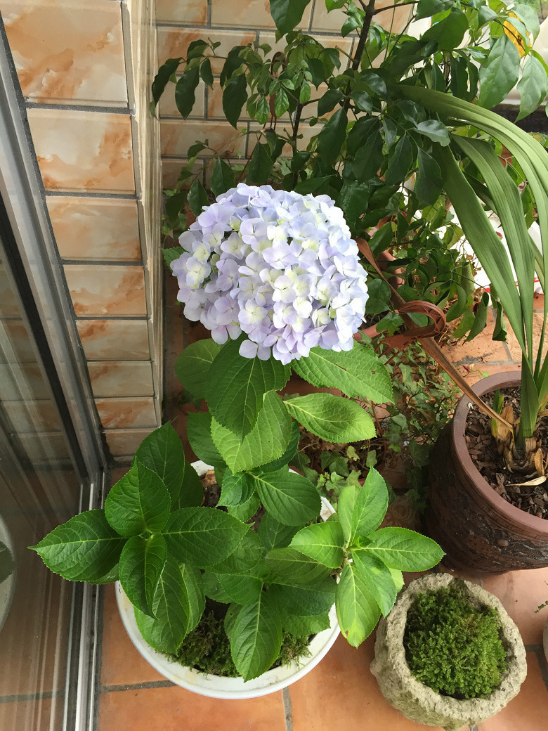 ���Ǹ�ҵ�������