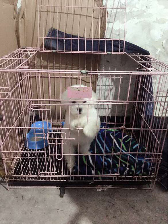 ת�ô��ֱ�����Ȯ��Ůһö