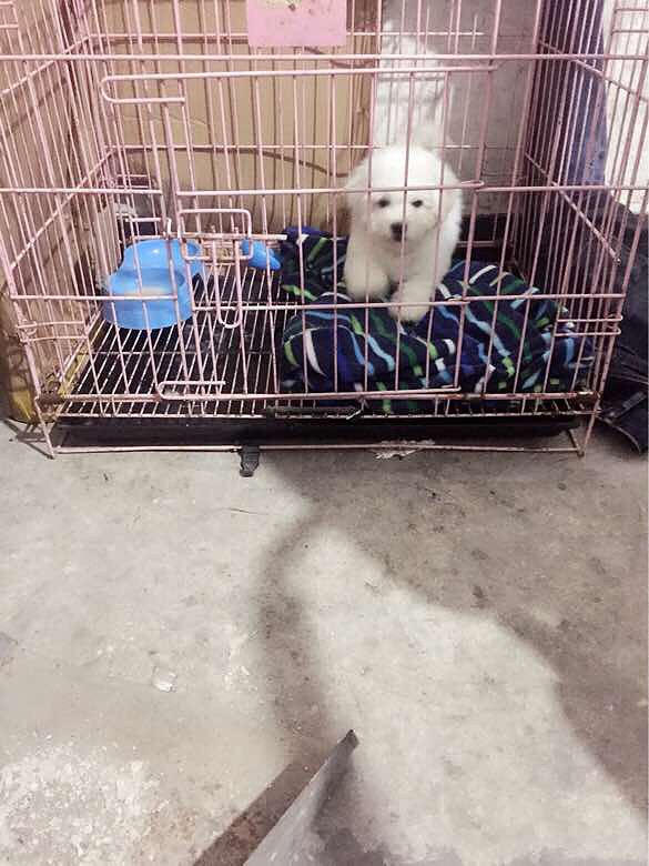 ת�ô��ֱ�����Ȯ��Ůһö