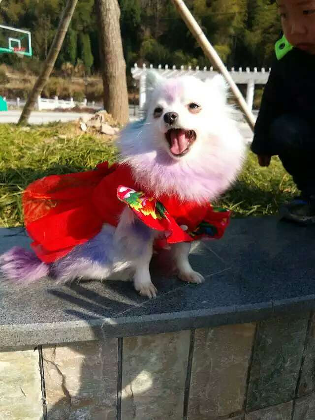 ���ȳ������+���õġ�������