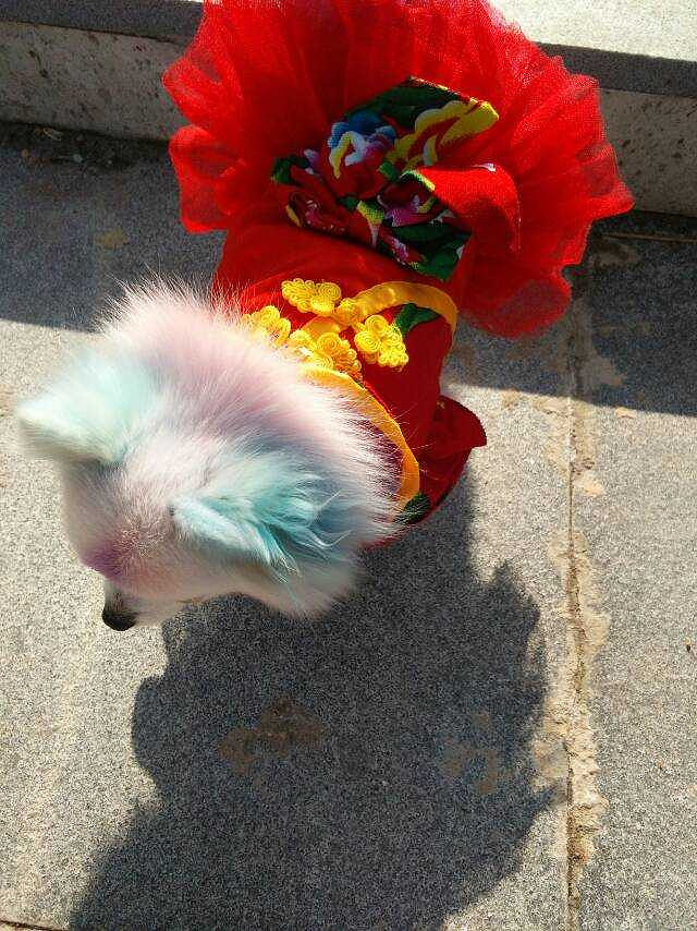 ���ȳ������+���õġ�������