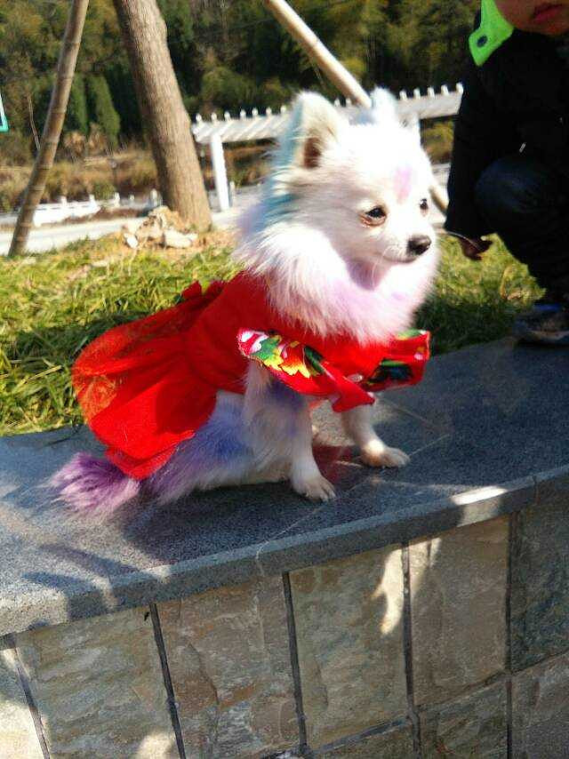 ���ȳ������+���õġ�������