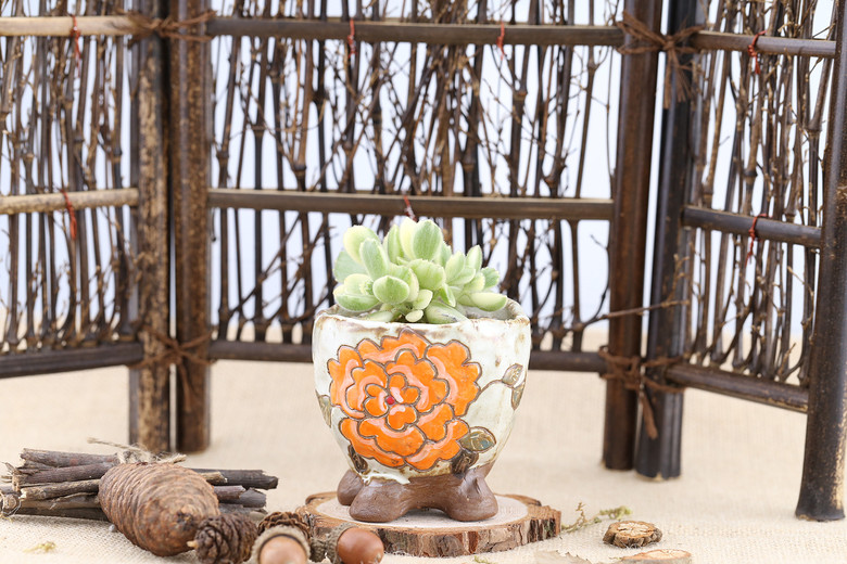 ��������