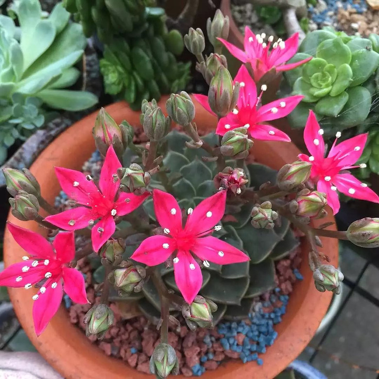 ���⿪����������