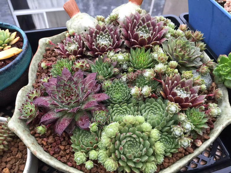 ������֮ǰ��������