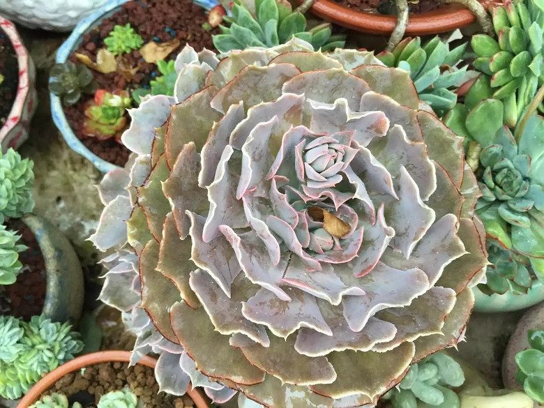 ������֮ǰ��������