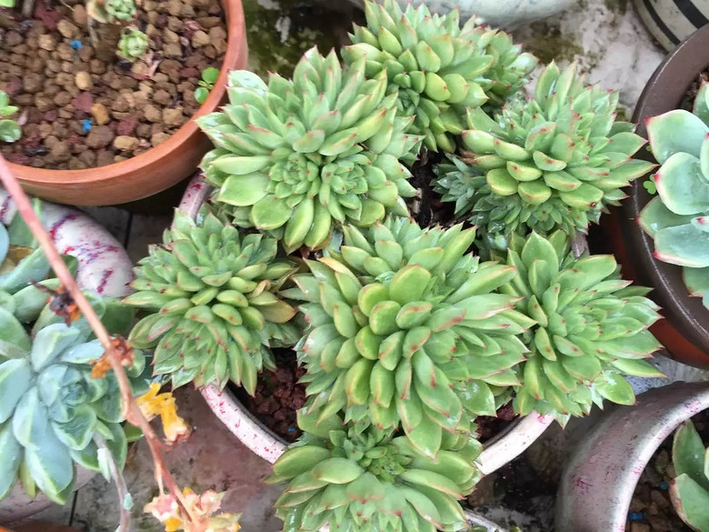 ������֮ǰ��������