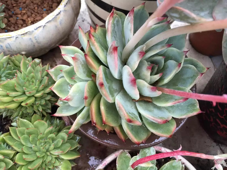 ������֮ǰ��������