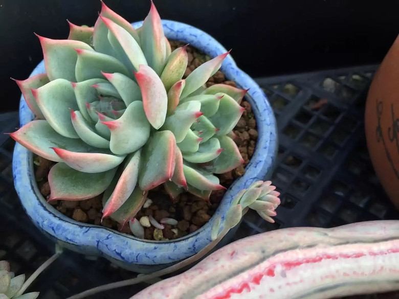 ������֮ǰ��������