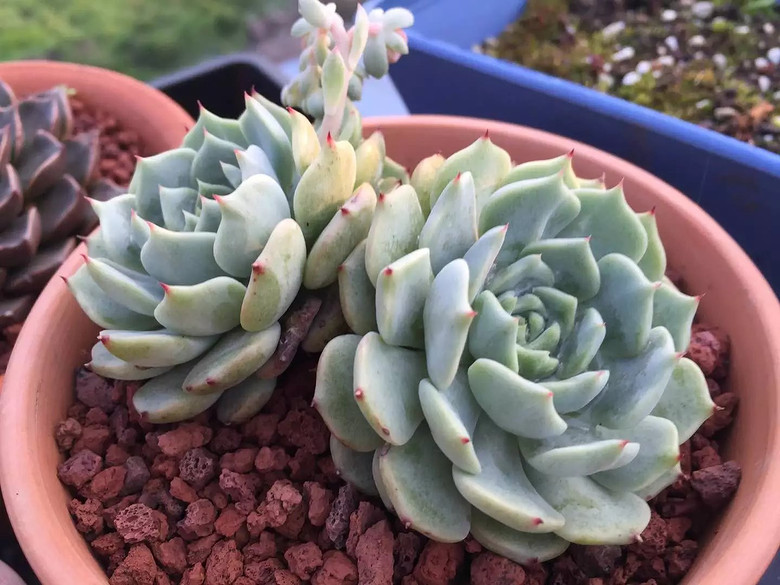 ������֮ǰ��������