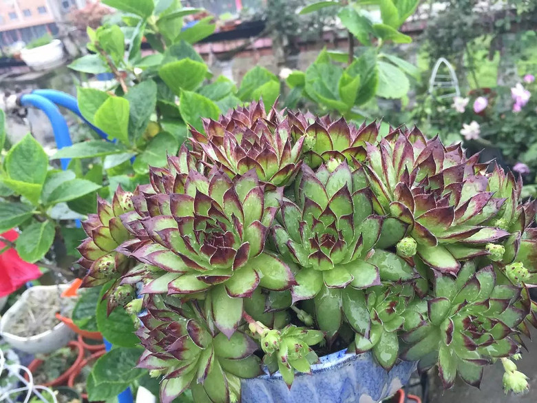 ������֮ǰ��������